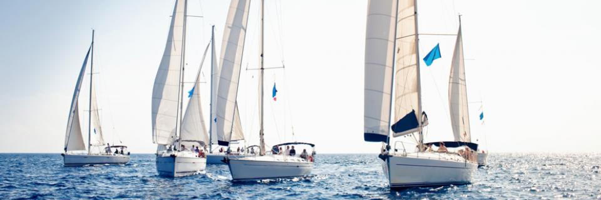 Segelboote auf See
